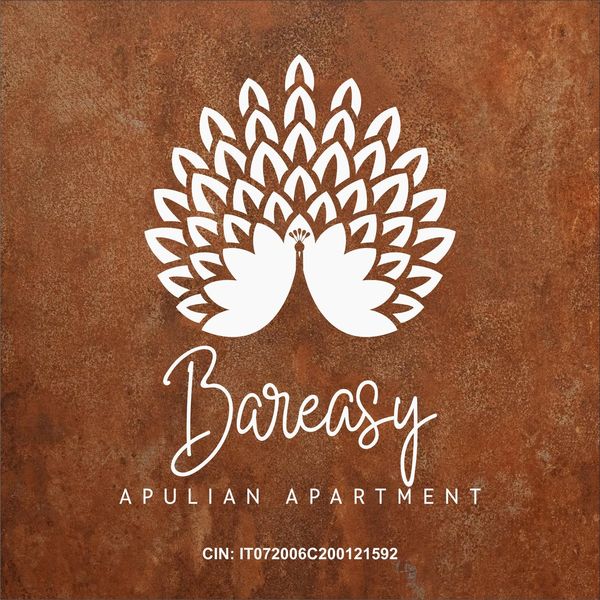 Logo Bareasy